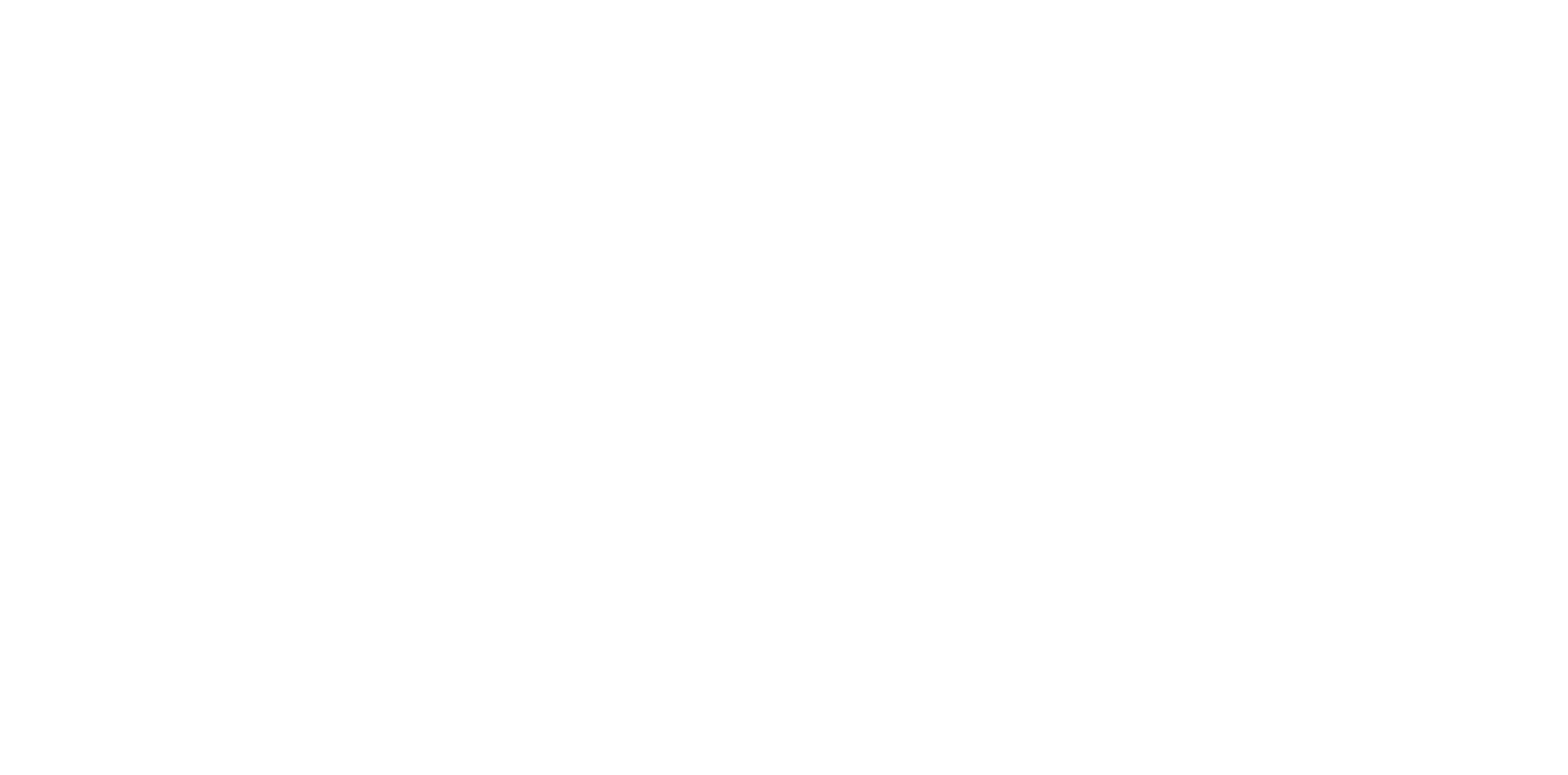 The Storage Barn logo